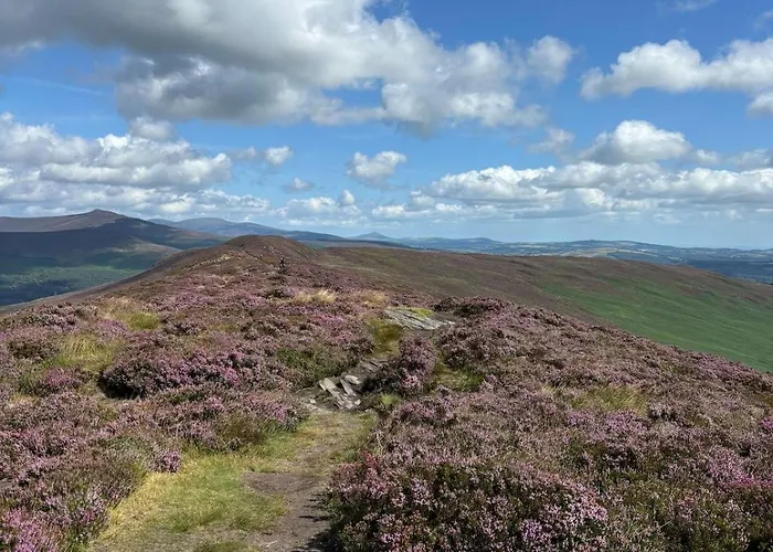 The Coach House, 3 Beds Vakantiehuis Bray